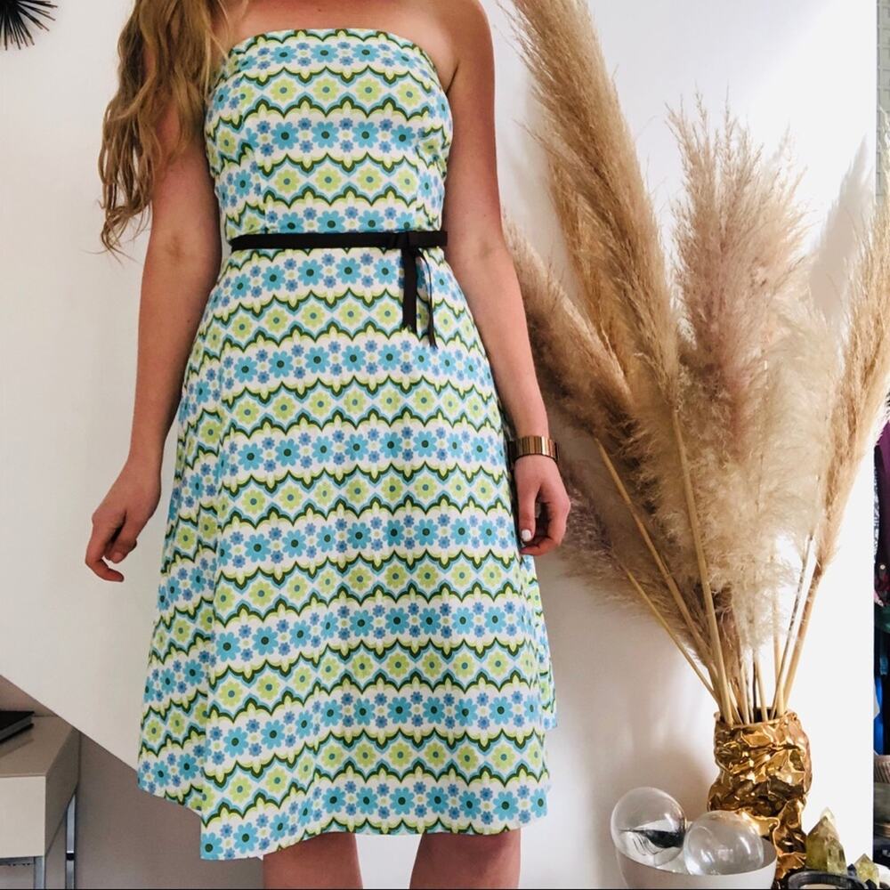 VINTAGE ANTHROPOLOGIE EVA FRANCO Floral Blue Green White Midi Cotton Dress 4